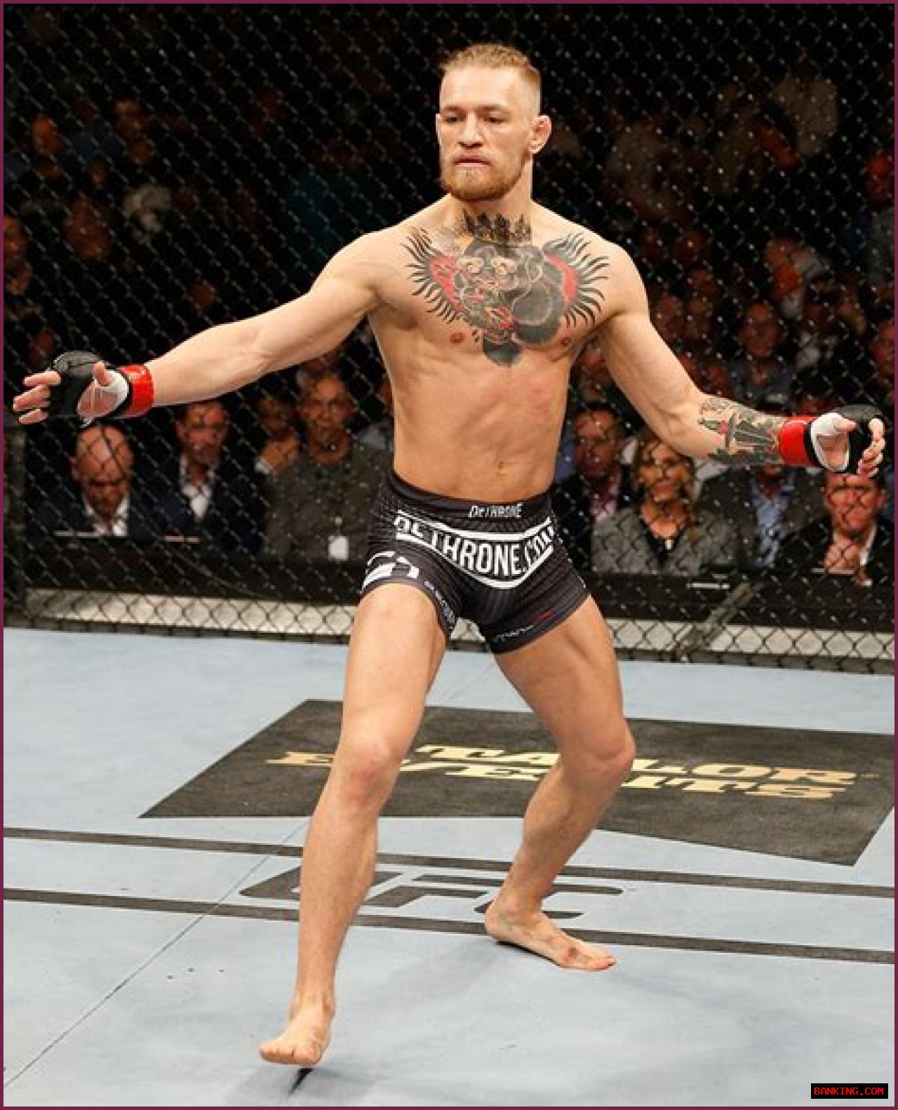 Unveiling The Height Of A Champion: McGregor Height In Feet